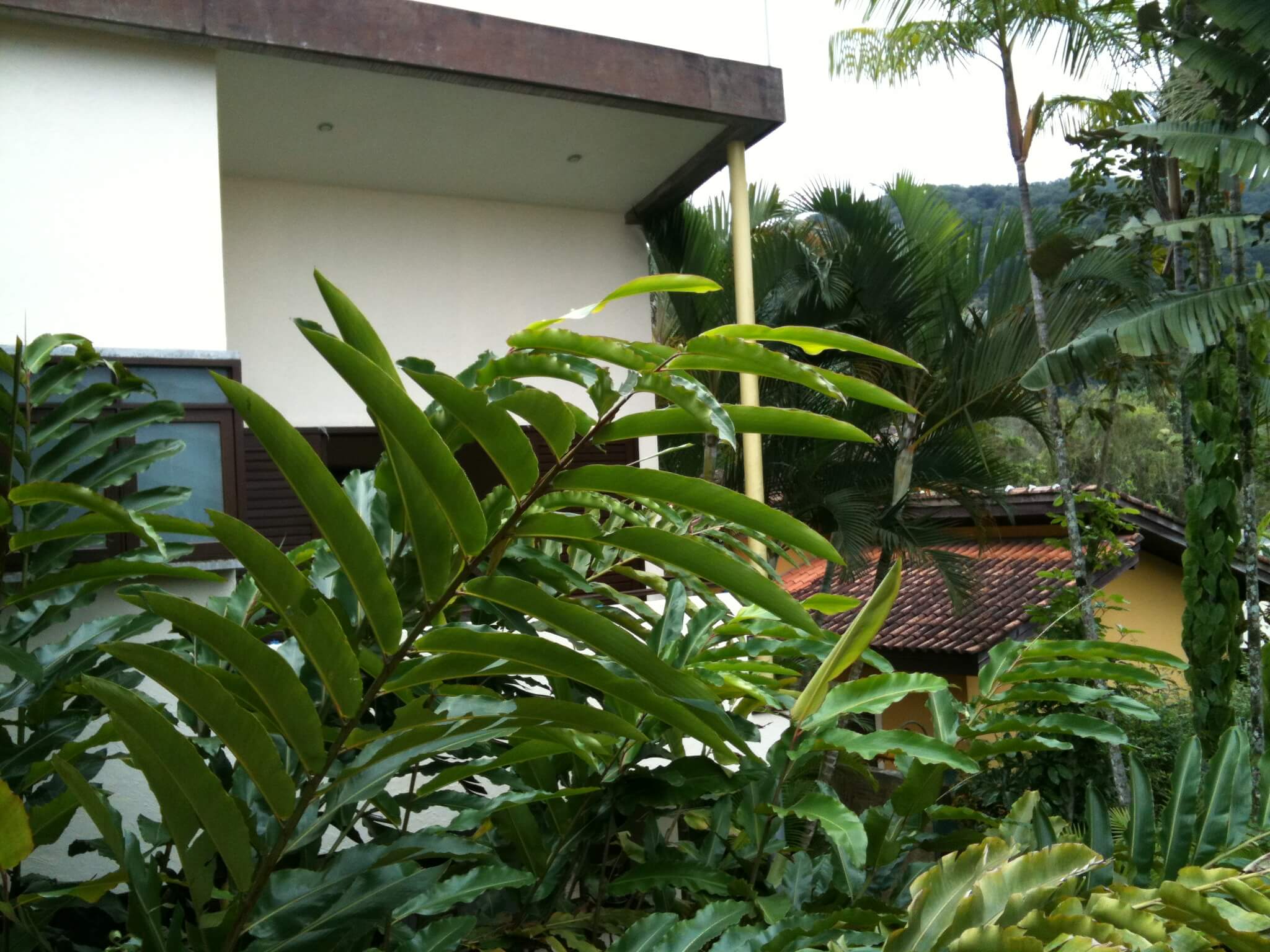 2010-10-10 11.22.53